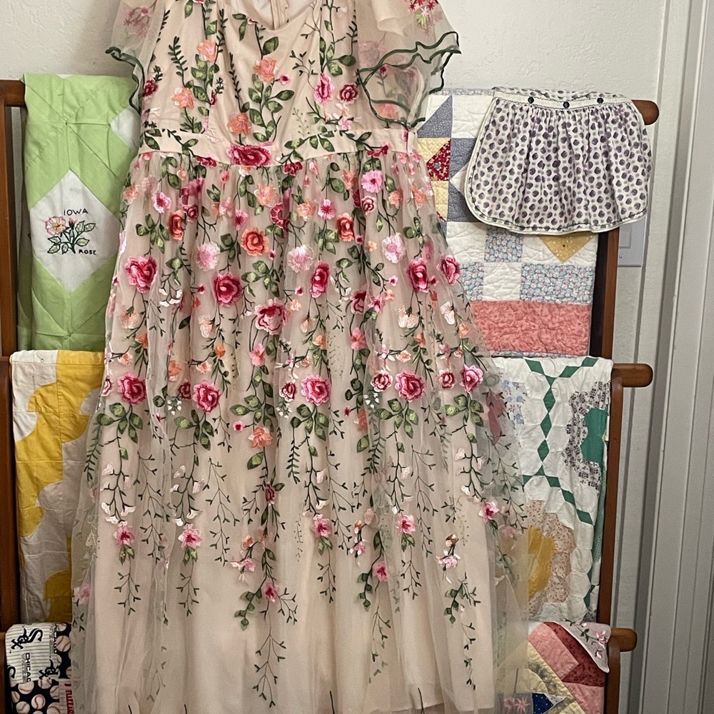 Ivy City Co Flora Dress Embroidered Maxi Dress in Pink and Green